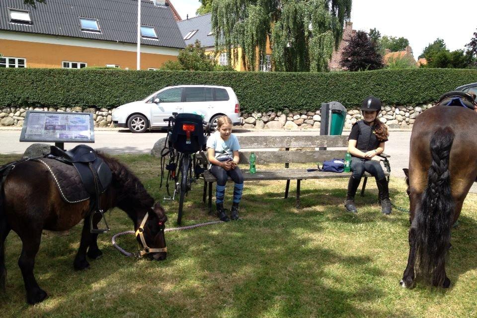 Anden særlig race Hollywood (Holly) - På tur med mad og det hele!:) sommerferie 2013 billede 4