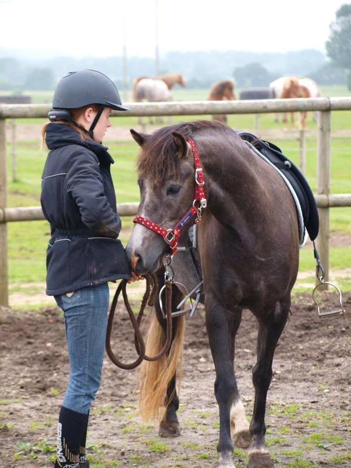 Anden særlig race Necupina (Pina) - Hun har været så sød, tålmodig og samarbejdsvillig under hele tilridningen! ;) billede 17