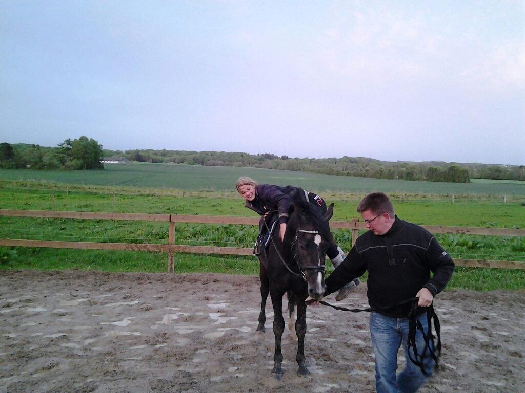 Anden særlig race Bailey billede 3