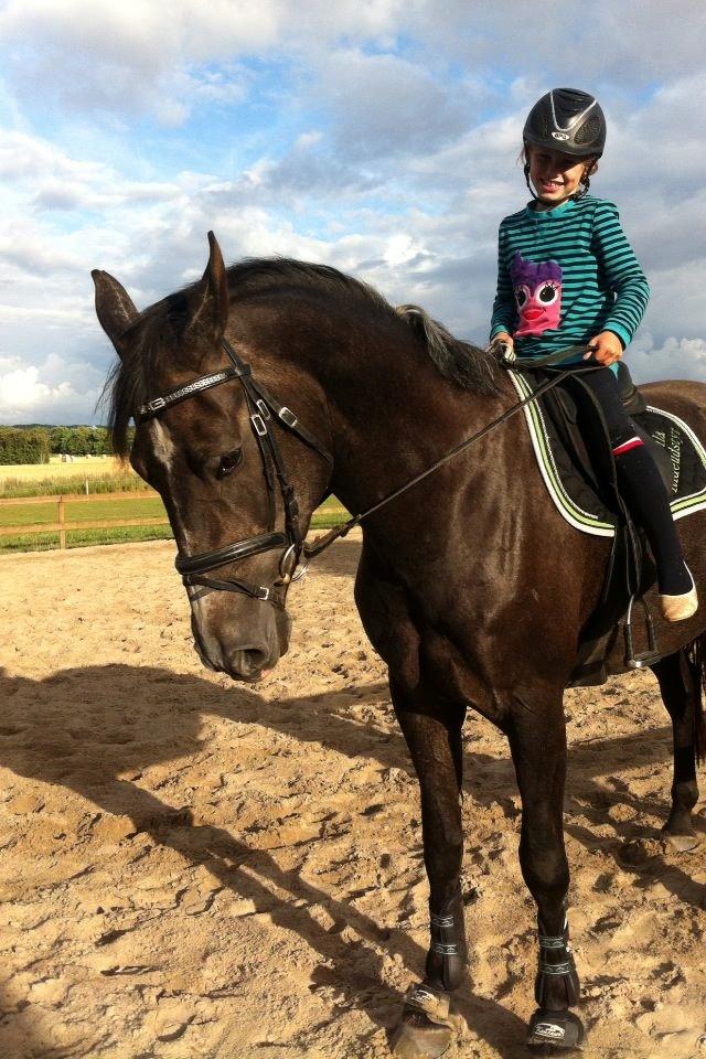 Anden særlig race Bailey billede 4