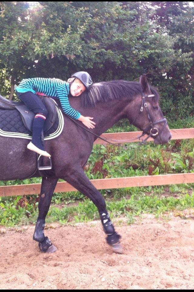 Anden særlig race Bailey billede 5