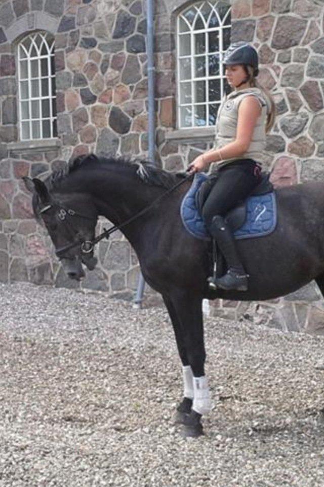 Anden særlig race Bailey billede 9