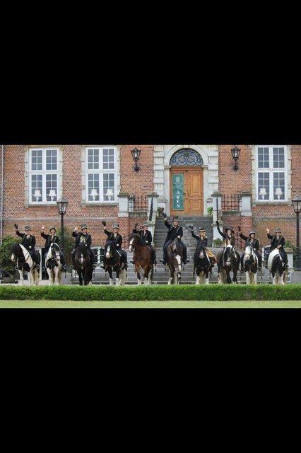 Anden særlig race Herkules - Valdemar slot 10.8.2013 billede 17