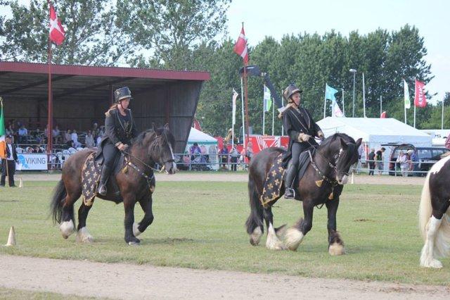 Anden særlig race Herkules - landskuet i Herning 2013
 billede 18