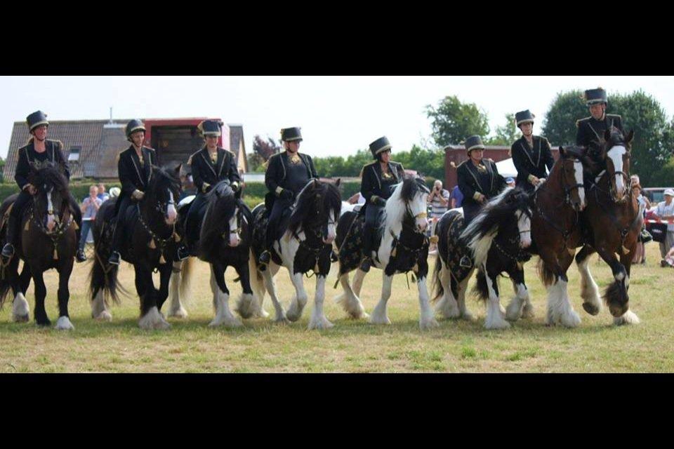 Anden særlig race Herkules - Ørbæk marked  2013 billede 19