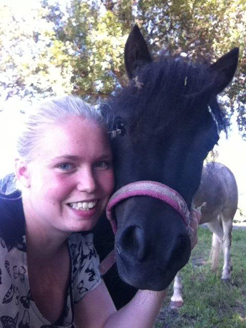 Shetlænder Mille  billede 13