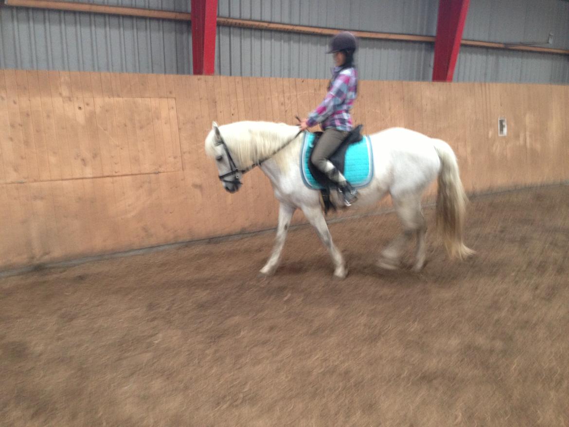 Connemara Britania billede 12