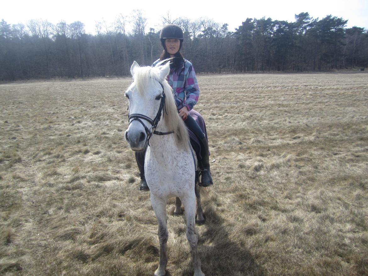 Connemara Britania billede 13