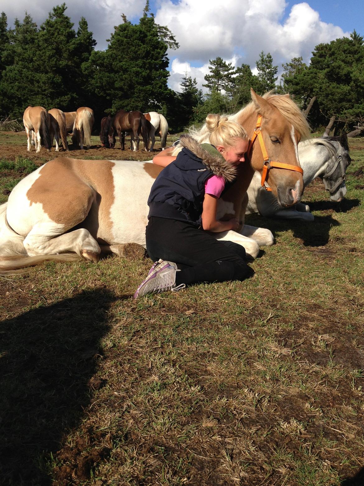 Anden særlig race Sønderstrandens Cola billede 11