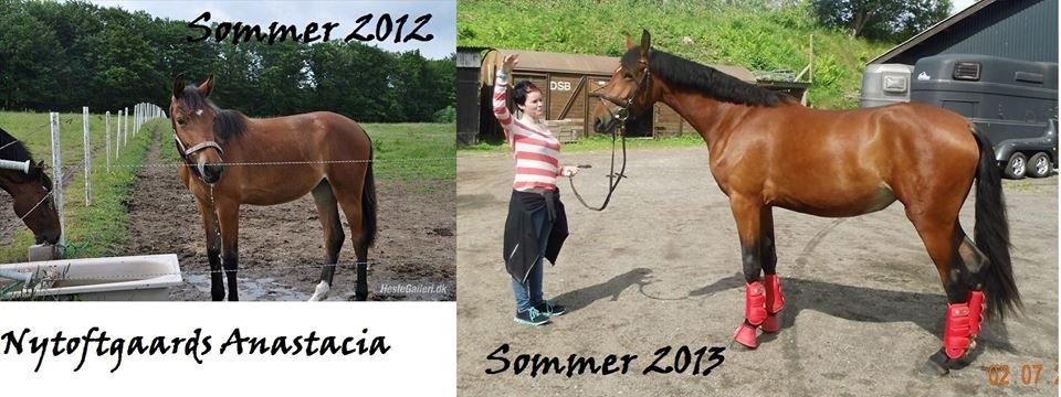 Frederiksborg Nytoftgaards Anastacia (Baby) - baby's udvikling på 1 år billede 13