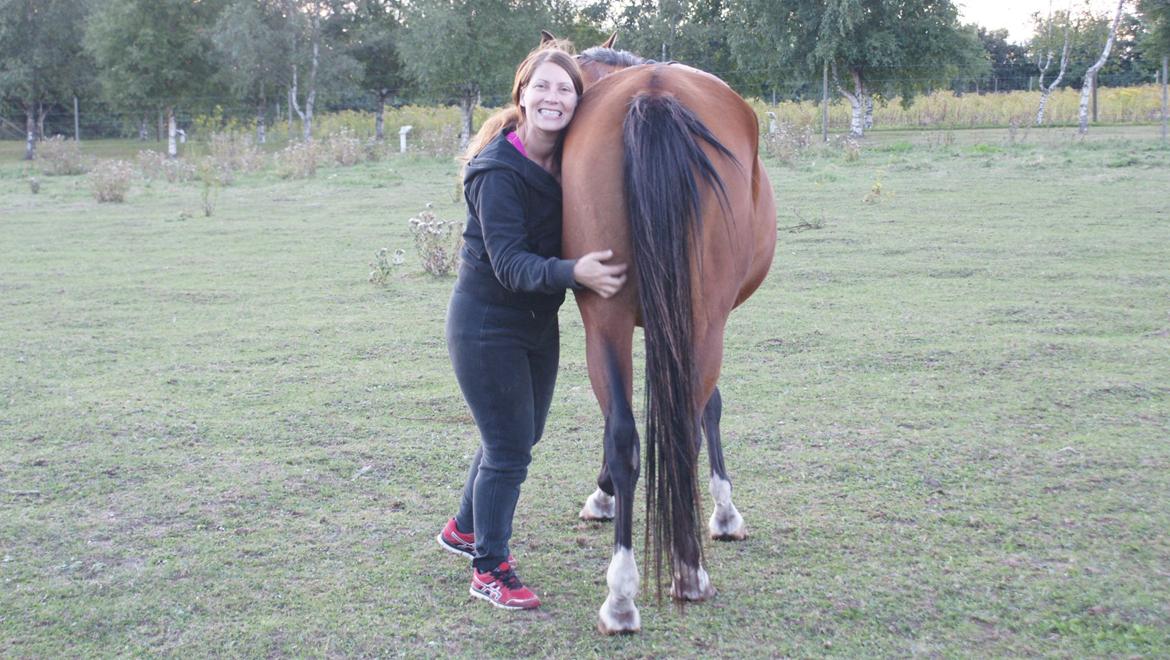 Arabisk fuldblod (OX) Amorella (rella) billede 17