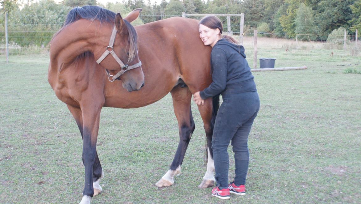 Arabisk fuldblod (OX) Amorella (rella) - Nussegøj har hun da altid været. billede 18