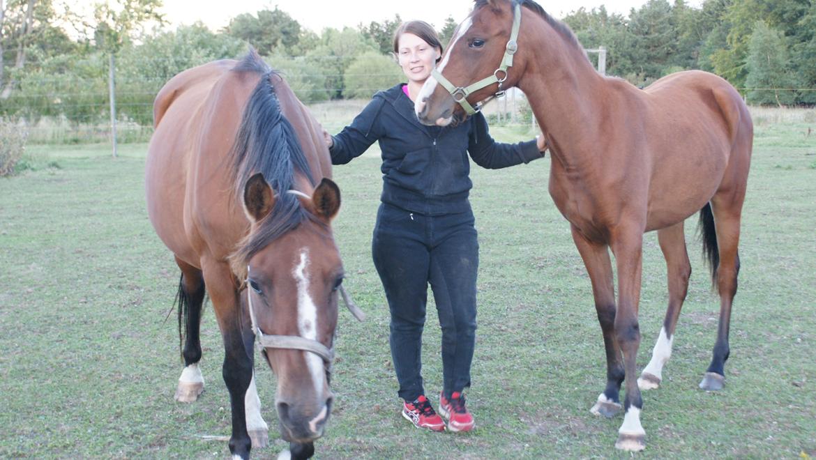 Arabisk fuldblod (OX) Amorella (rella) billede 20