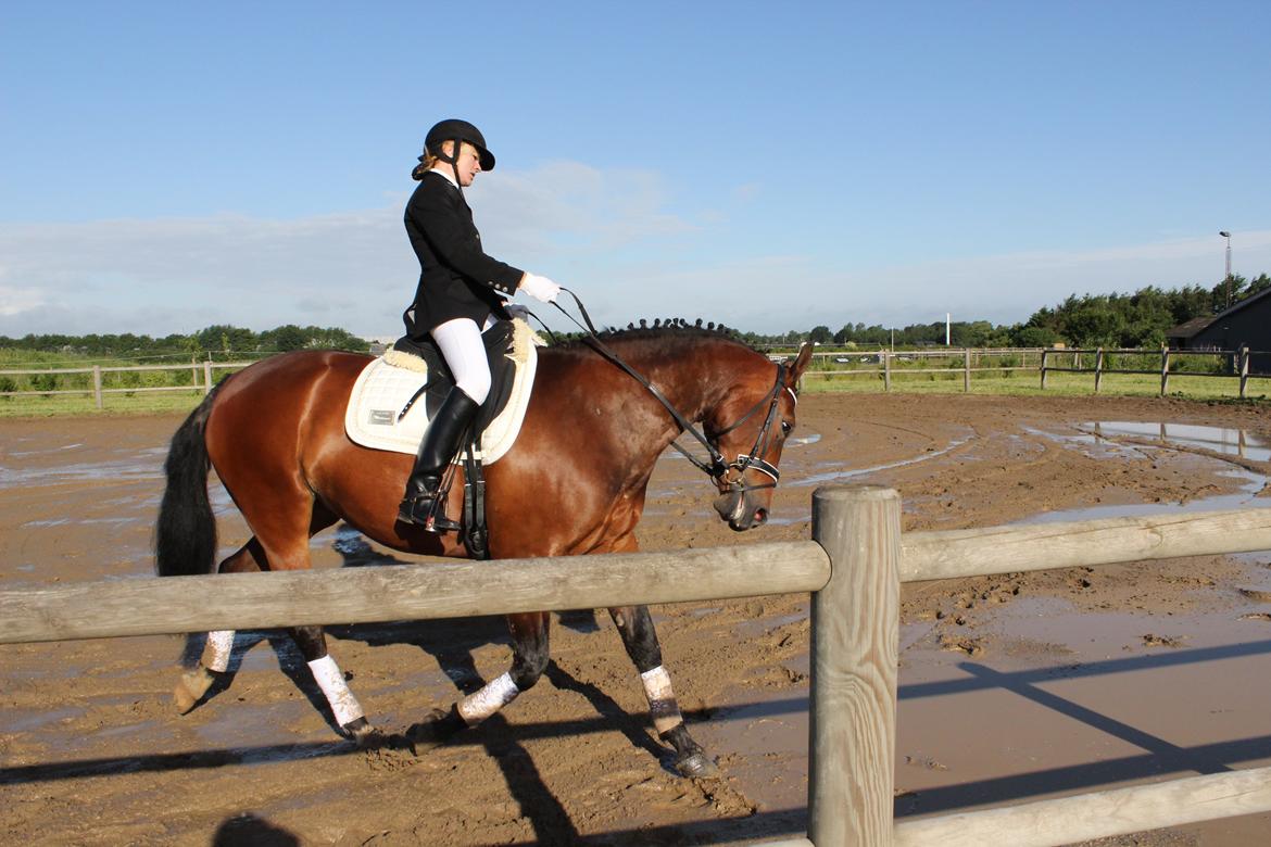 Oldenborg Bellinda Skovlyst billede 22