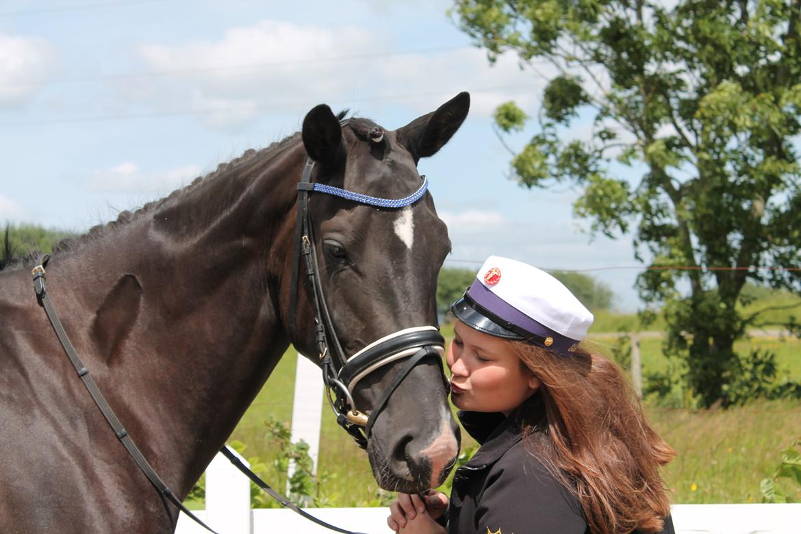 Dansk Varmblod DIA DE CANNON - STUDENT 2013! 

Min kærlighed til denne hest, kan ikke beskrives<3 billede 12