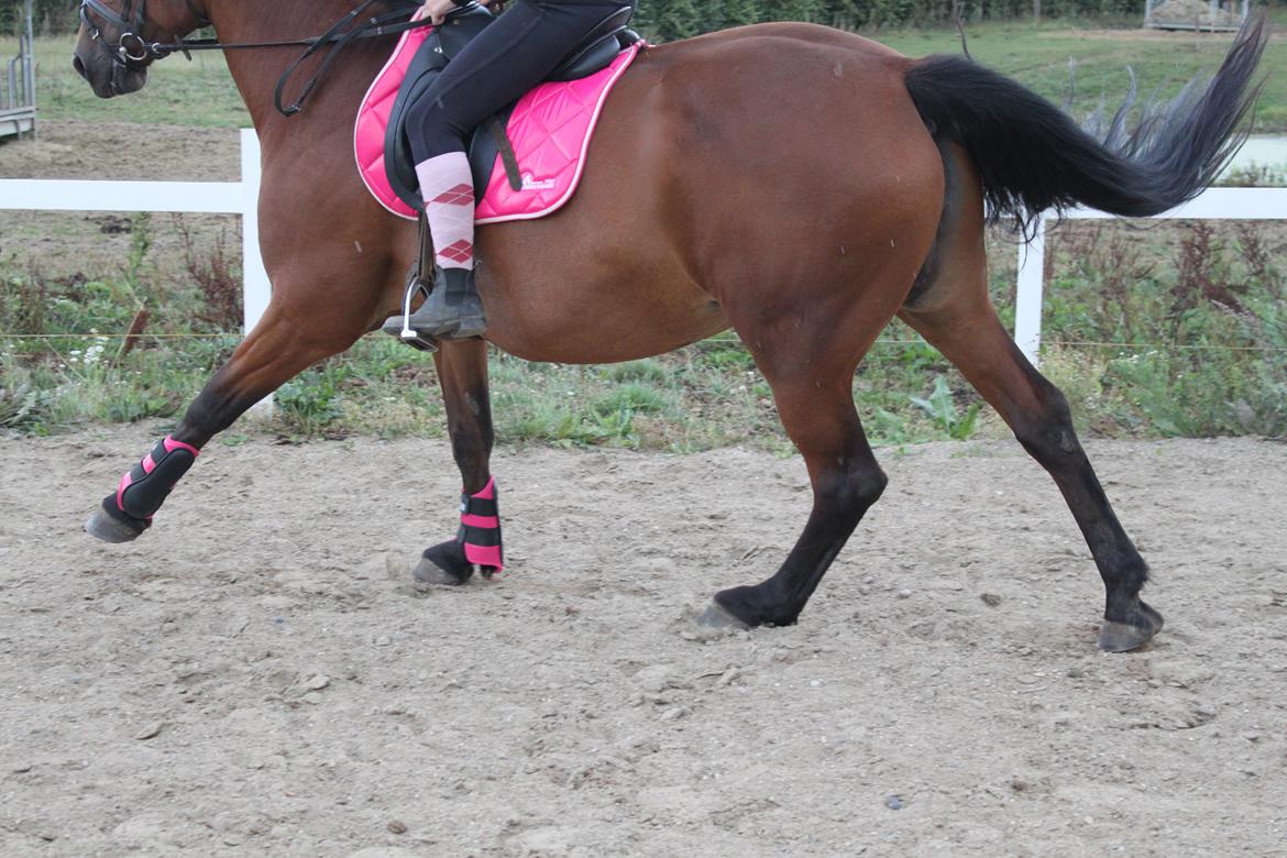 Anden særlig race tasja. - ingen kritik, ved godt gemacher vender forkert. :) billede 4