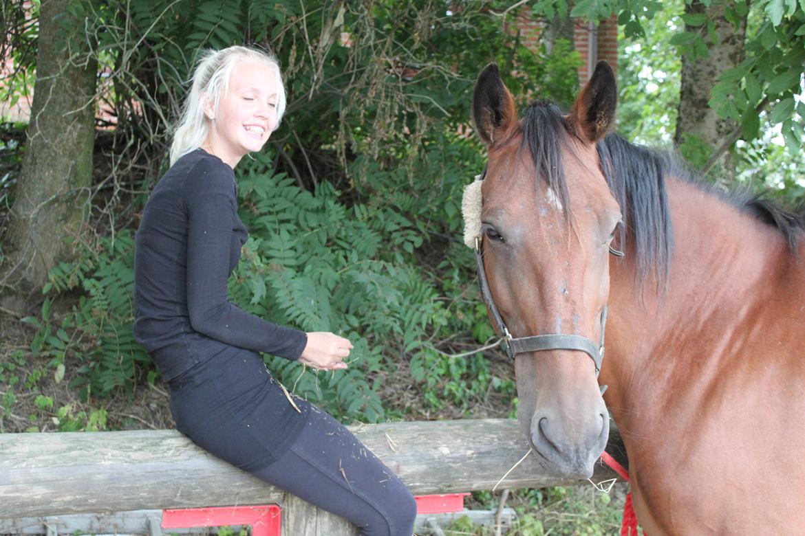 Anden særlig race tasja. billede 5