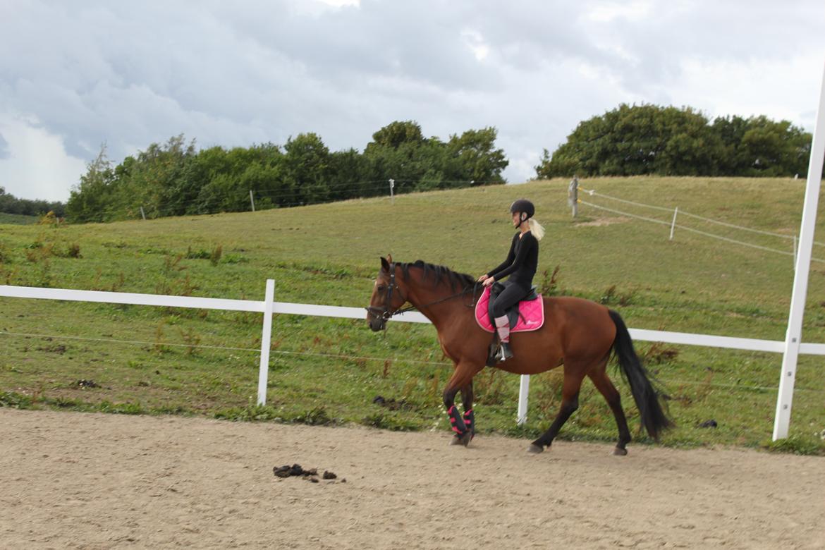 Anden særlig race tasja. billede 6