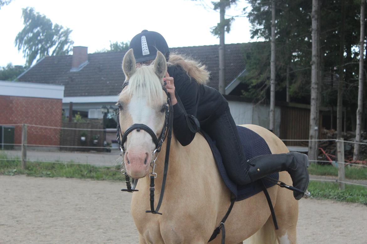 DSP Tovdal's Ivory Princess <3 - <3 billede 14