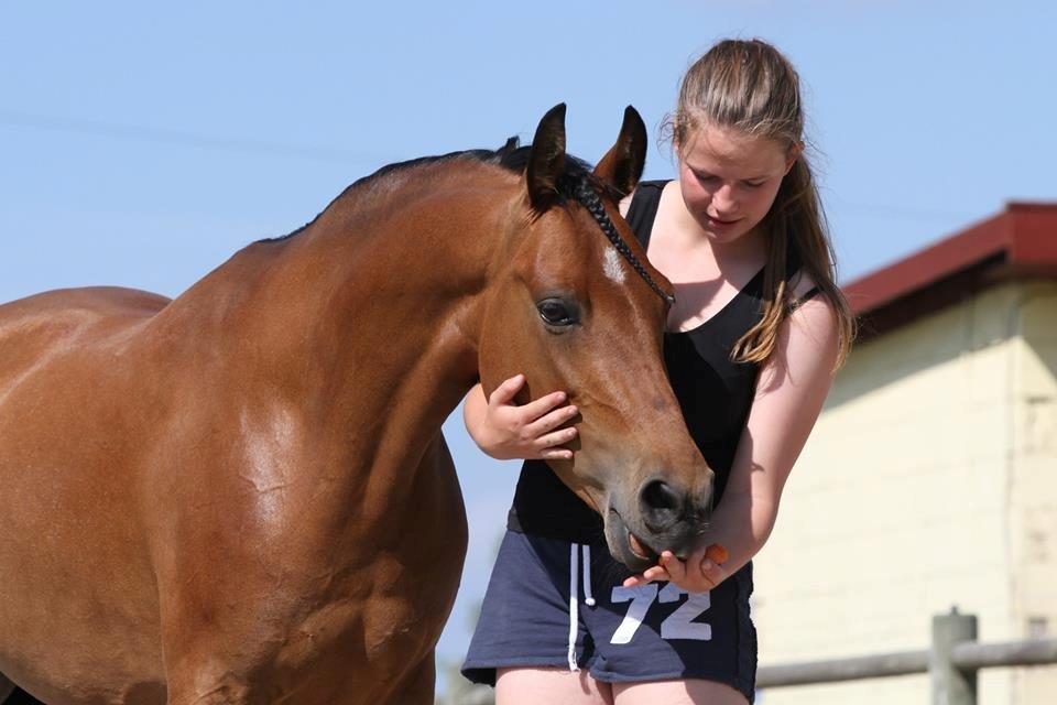 Hollandsk Sportspony Rose (Lille Lady) - Poooony:* billede 11