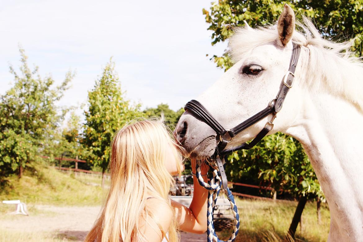 Connemara Maskenkols Calimero - 13) Kys fra Cail billede 13