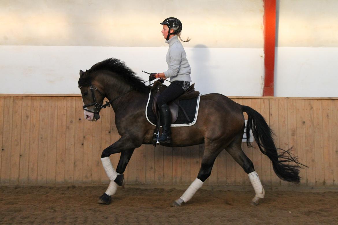 DSP Toftgaards Nice Device billede 1