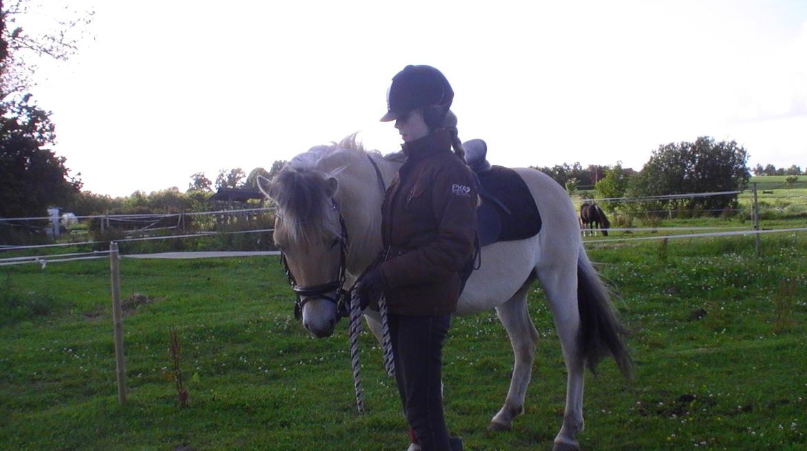 Fjordhest Hübbes Torden Triton - "When life gives you a hundred reason to cry, show life that you have a thousand reason to smile." billede 18