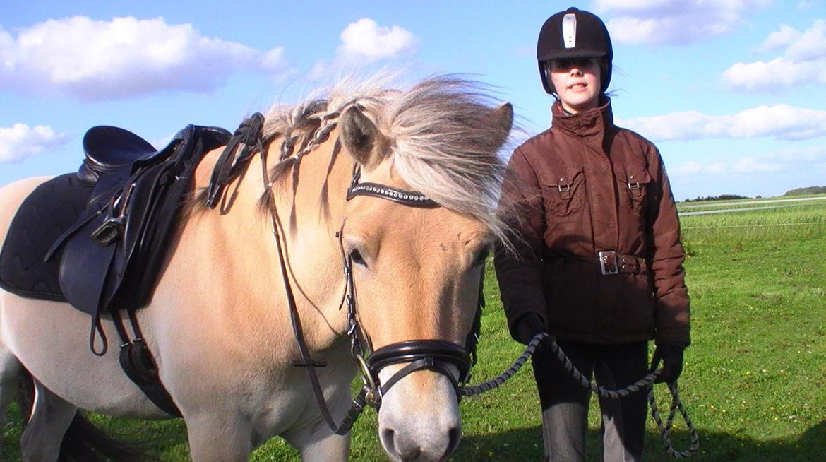 Fjordhest Hübbes Torden Triton - "Whoever said that diamonds are a girls best friend never owned a horse" billede 5