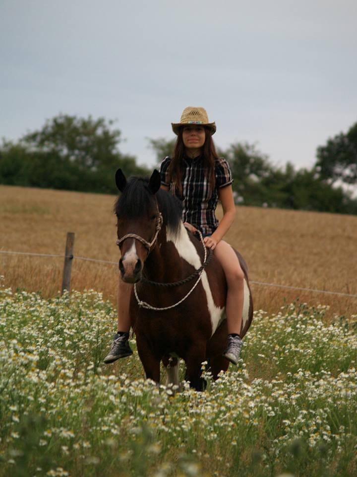 Pinto /Islænder   Futte - Sommerferien 2013 <3 billede 16