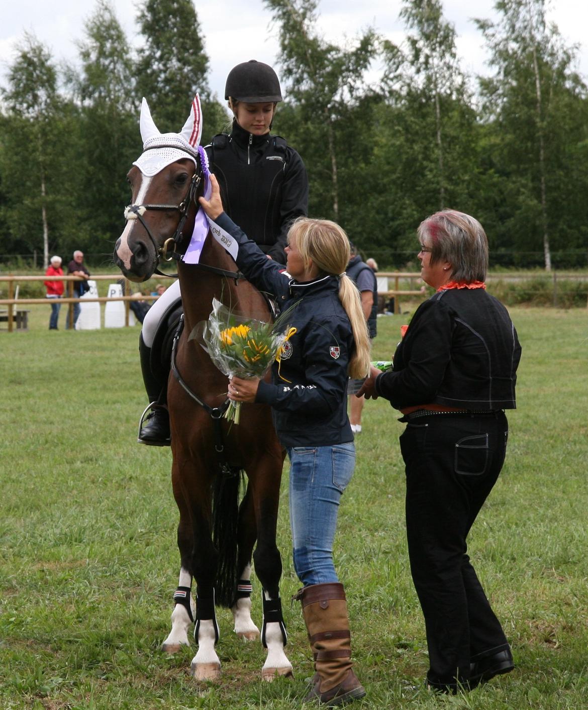 Hollandsk Sportspony Philippa - Sydjysk mester military 2014 - 5. plads til Sugarcupfinalen i Sverige :-) billede 2