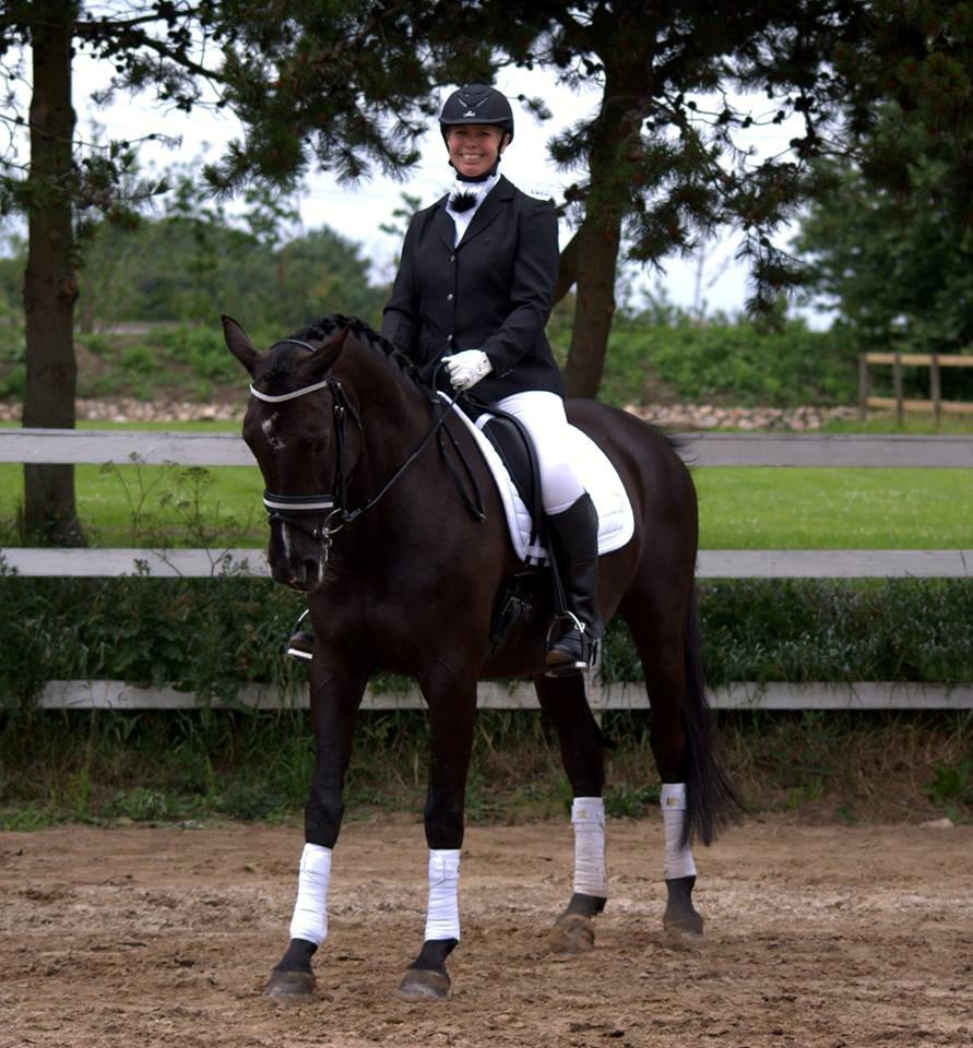 Dansk Varmblod De Luxe R billede 6