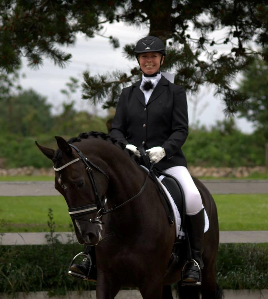 Dansk Varmblod De Luxe R billede 4