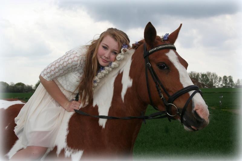 Anden særlig race Sheeba billede 1