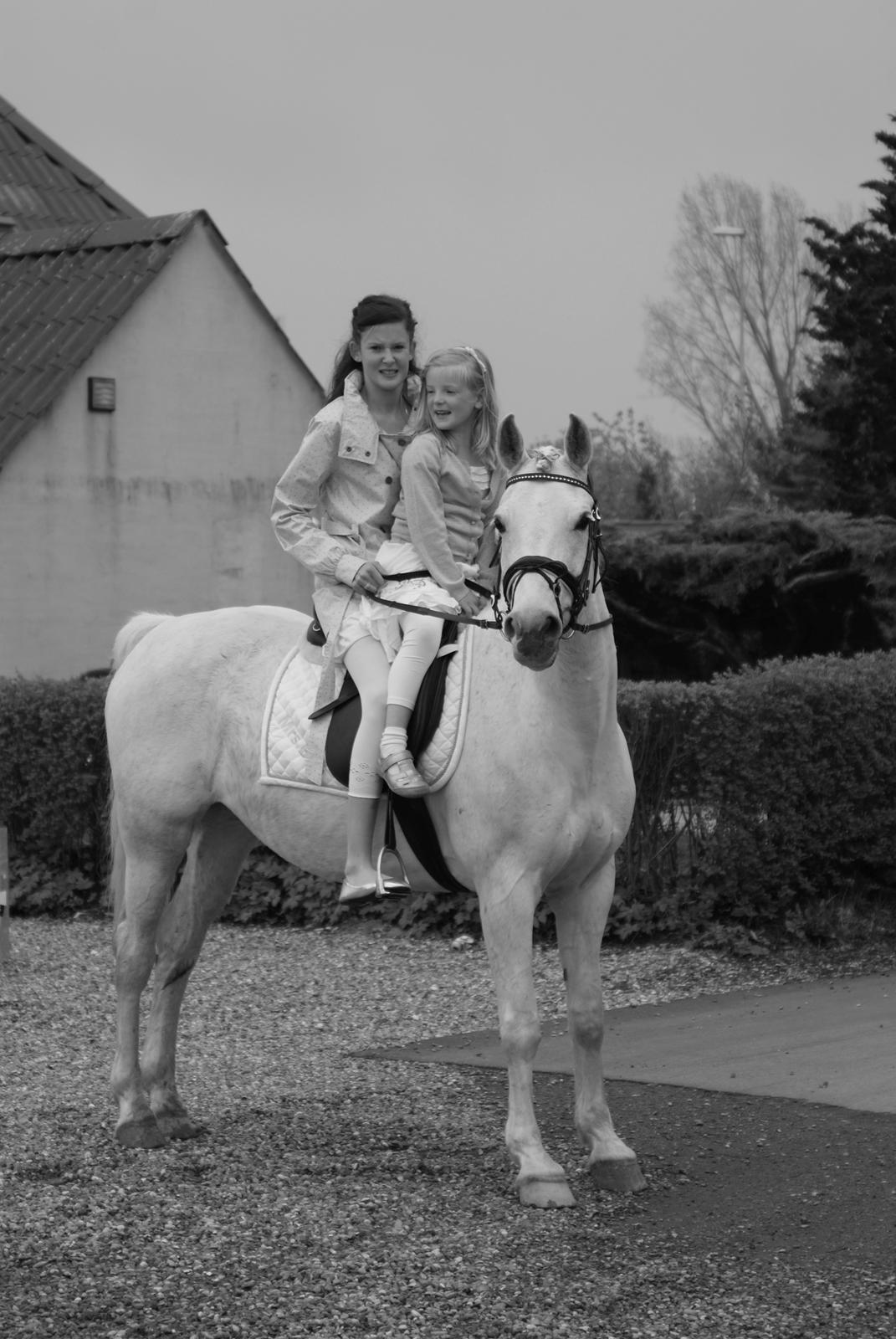 Anden særlig race Mrs. Bine billede 19