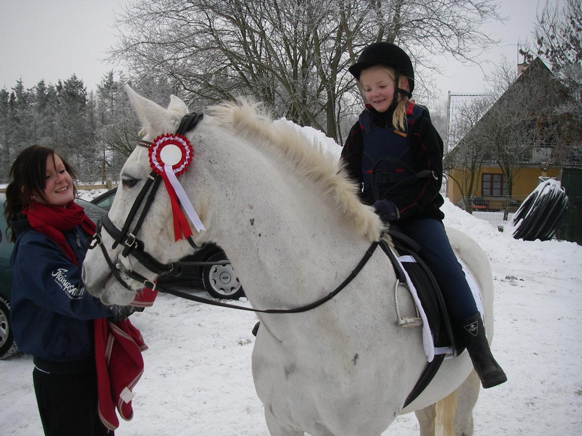 Anden særlig race Mrs. Bine billede 20