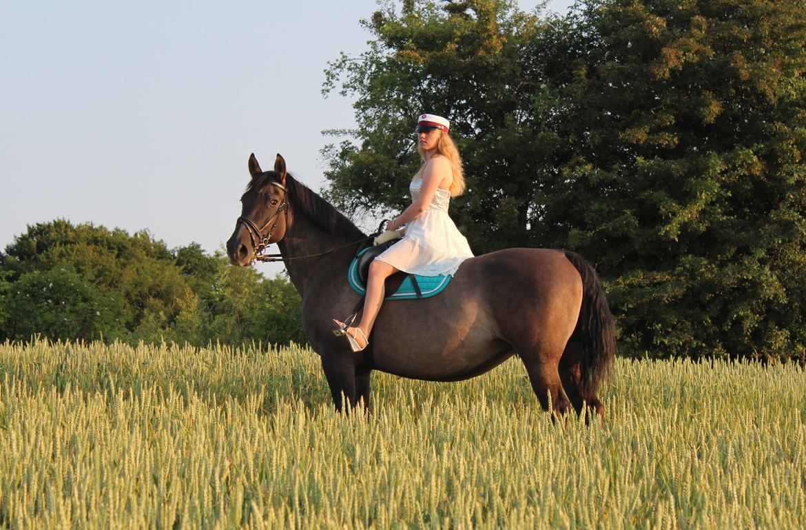 Anden særlig race Julle - Student 2013 med den skønneste Julle :) billede 1