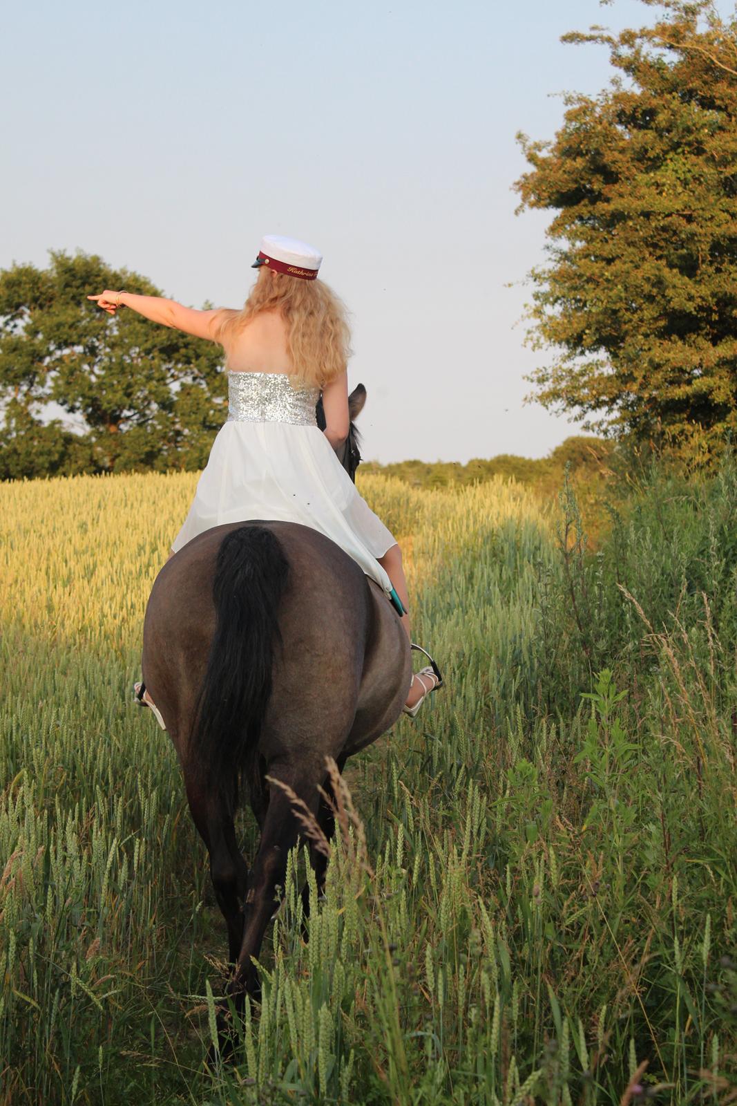 Anden særlig race Julle - Vi skal denne vej - Student 2013 billede 20
