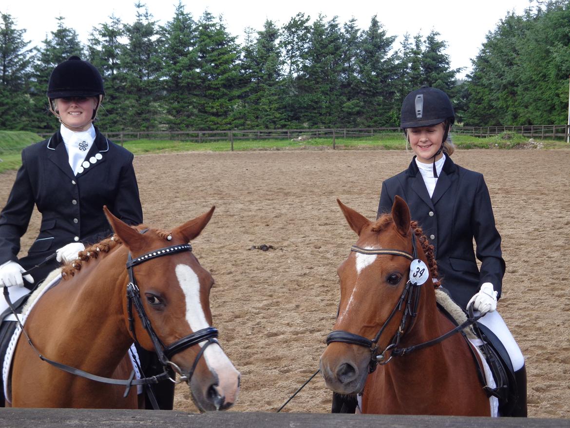 New Forest Acett Af Hvarre <3  - Stævne i NDRK Pernille, Acett, Marie Louise og Armando:-)  billede 8