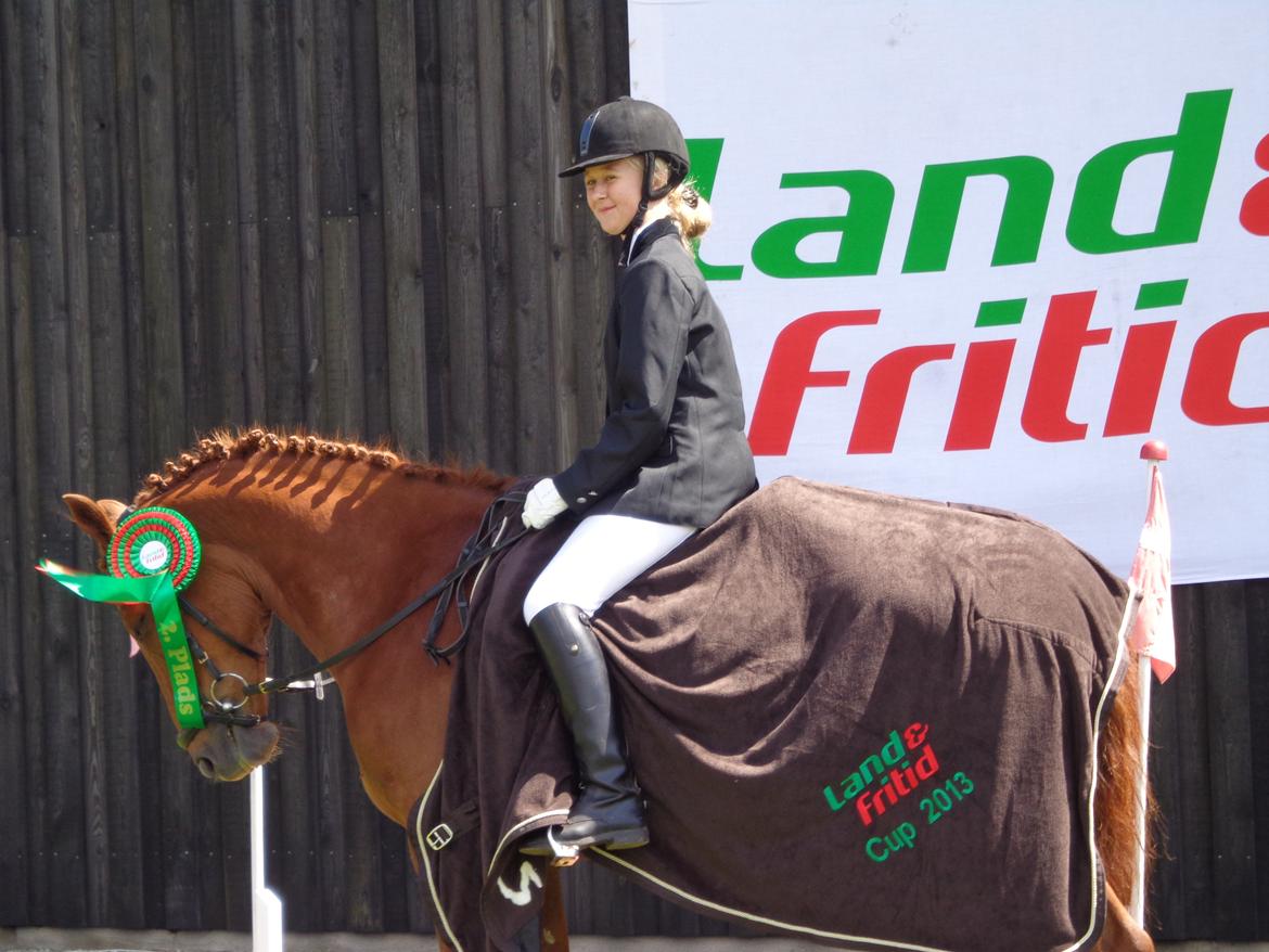 New Forest Acett Af Hvarre <3  - Finalen i land og fritid cup 2013 2. plads på Acett  billede 9