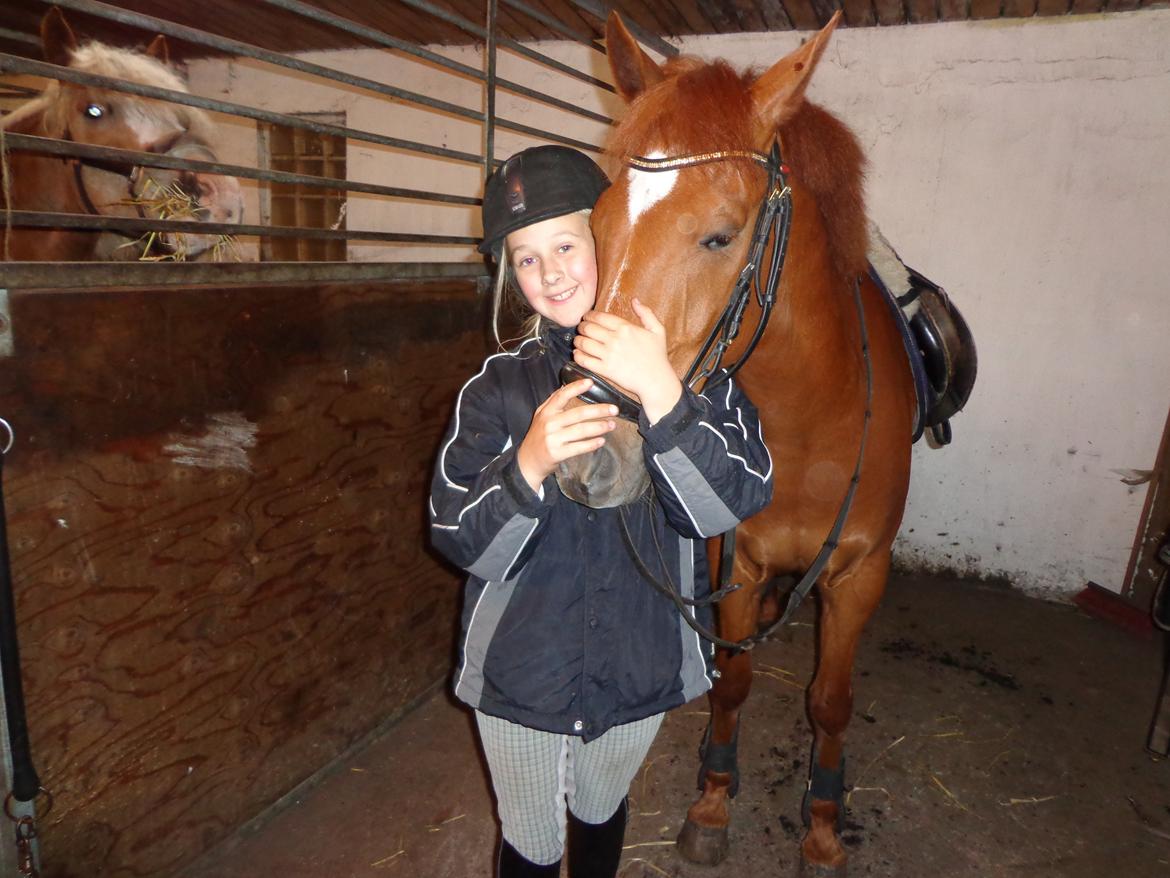 New Forest Acett Af Hvarre <3  - Pernille og Acett <3 billede 13