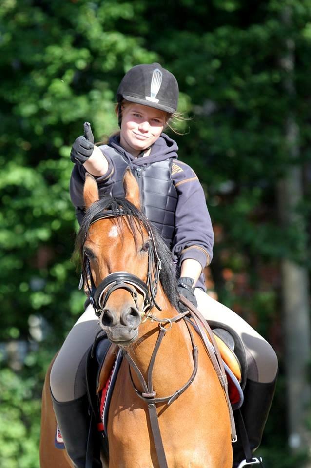 Hollandsk Sportspony Rose (Lille Lady) - Tummel op ! (y) billede 2