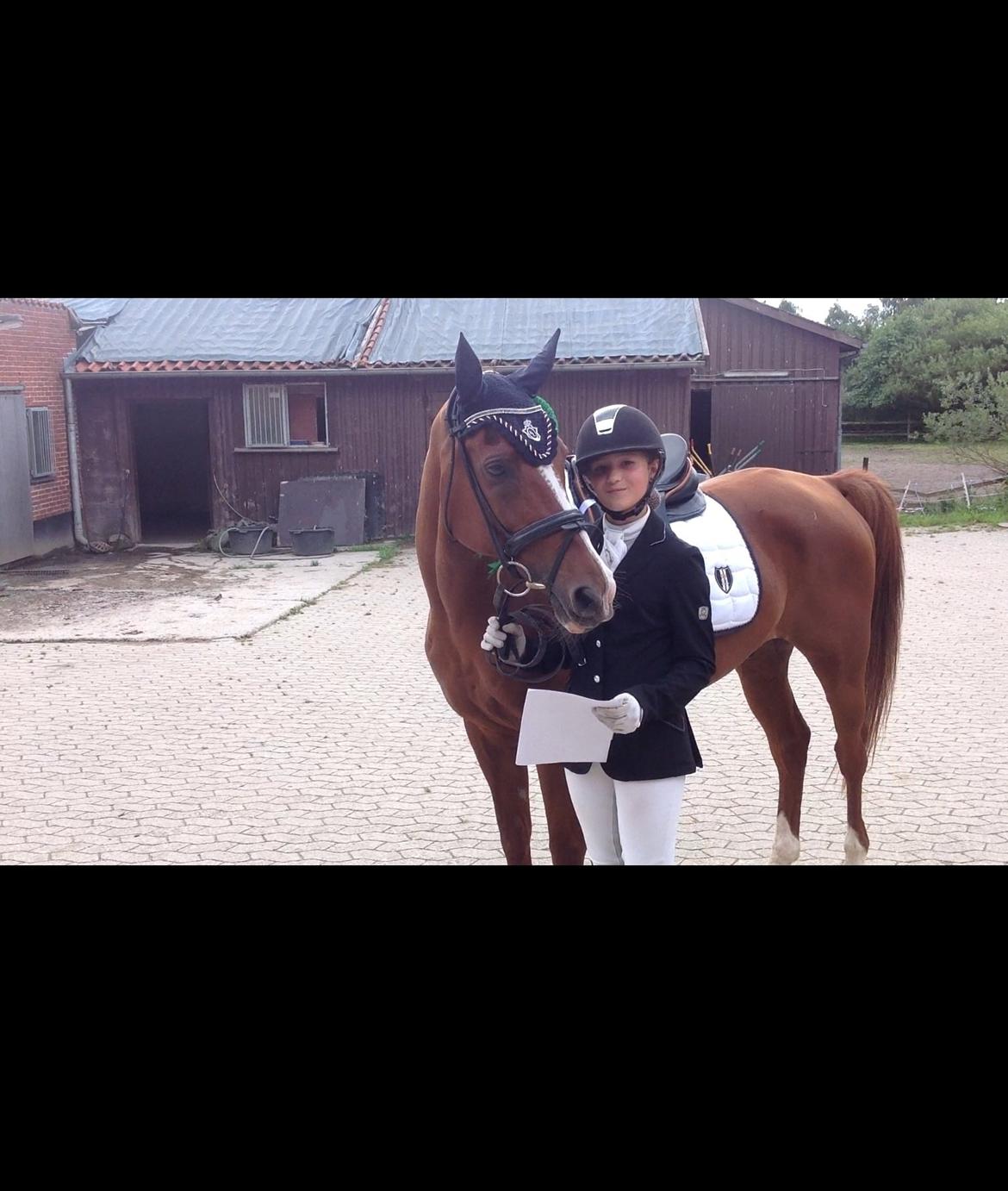 Anden særlig race Chico B-pony - 4. plads i PRI 65,525 %
Dygtige<3 billede 7