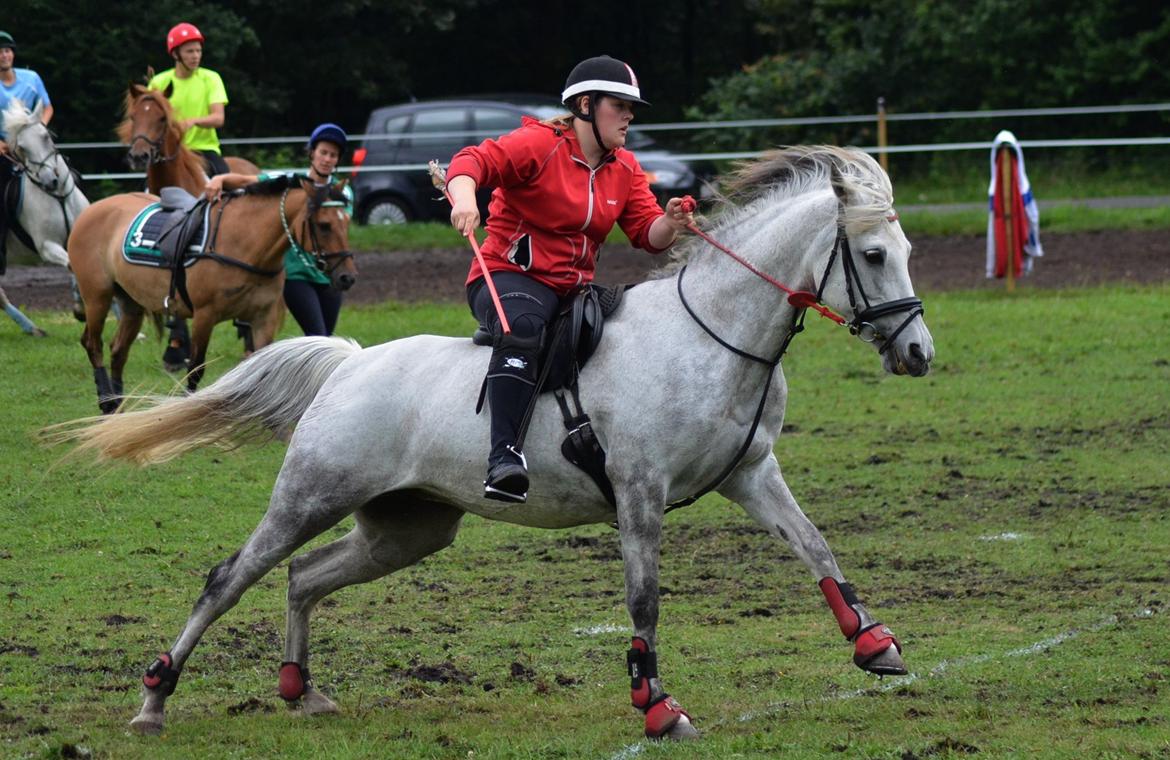 DSP Linette // Lynette - Linette og jeg til Sommerpar 2013, vores første Mounted Games stævne! :-) Fotograf: Palle Rasmussen billede 10