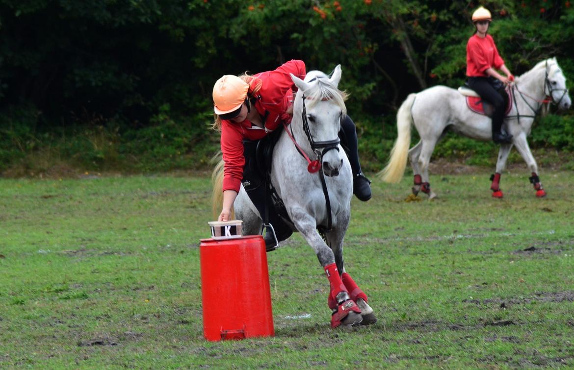 DSP Linette // Lynette - Linette og jeg til Sommerpar 2013, vores første Mounted Games stævne! :-) Fotograf: Palle Rasmussen billede 19