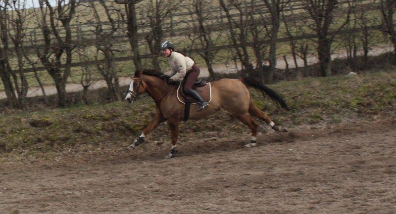 Quarter Frontiers Four Socks billede 32