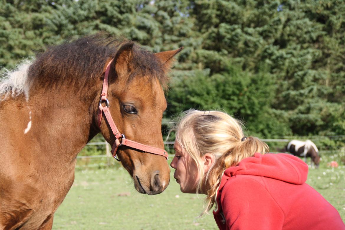 Anden særlig race Miss Casia billede 5