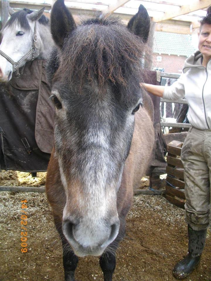 Anden særlig race Malina billede 8