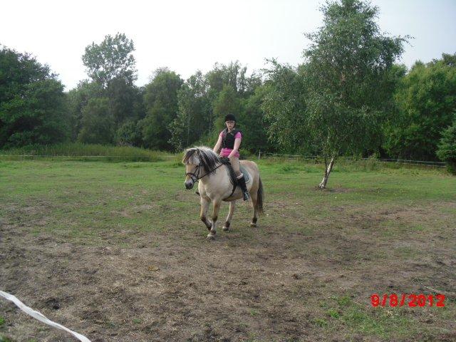 Fjordhest Saga - Signe oppe på Saga efter 9 måneders pause :) billede 6