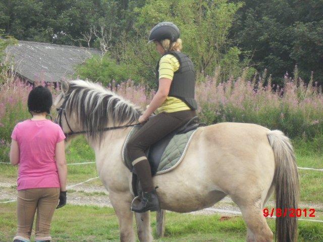 Fjordhest Saga - Mig oppe på Saga efter 9 måneders pause  billede 11