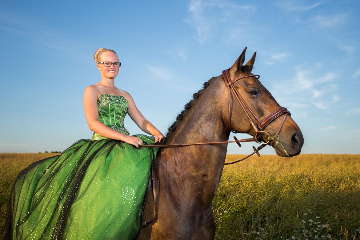 Dansk Varmblod Cocktail billede 13